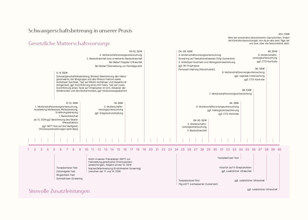 Doppelseite der Broschüre mit einer Zeitstrahl-Infografik zu den diversen Untersuchungen im Laufe der neunmonatigen Schwangerschaft