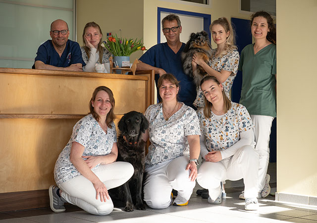 Team einer Tierarzt-Praxis am Empfang der Praxis